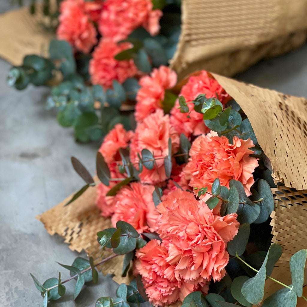 Orange Carnations