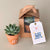 Succulent Box : The Green Finger Happy Bunch